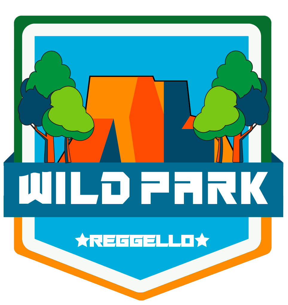 Logo%20trasparente%20WP